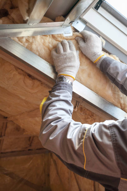 Best Specialty Insulation in Bemiss, GA