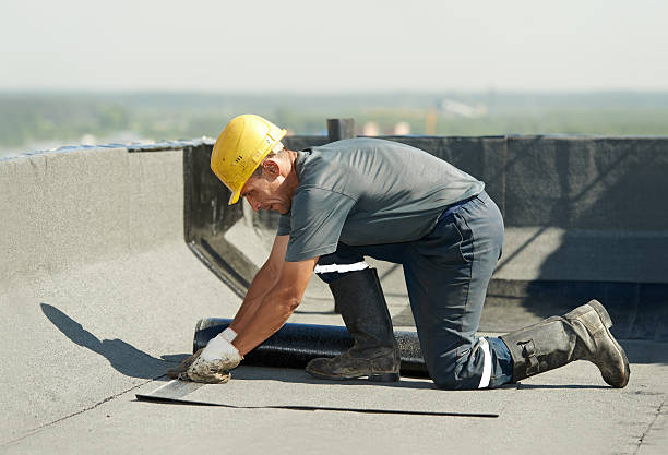 Best Insulation Installation Services in Bemiss, GA