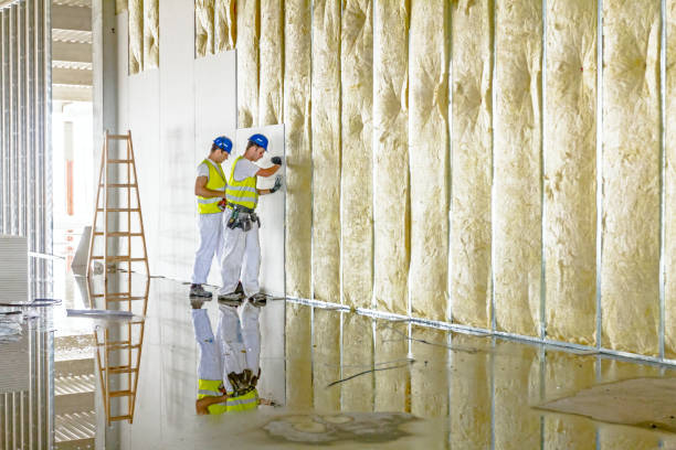 Best Commercial Insulation in Bemiss, GA